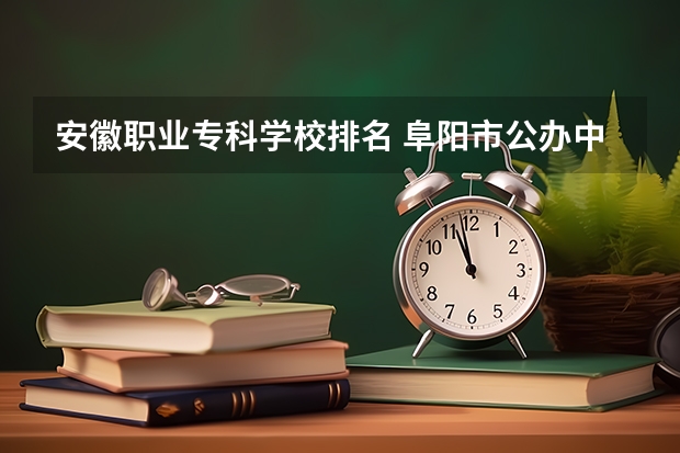 安徽职业专科学校排名 阜阳市公办中职学校排名