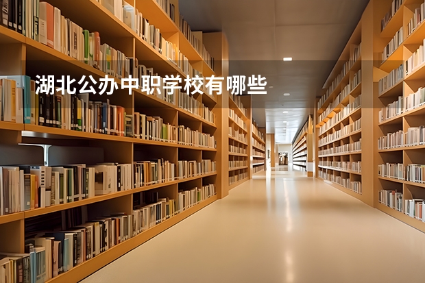 湖北公办中职学校有哪些