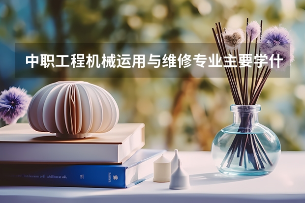 中职工程机械运用与维修专业主要学什么