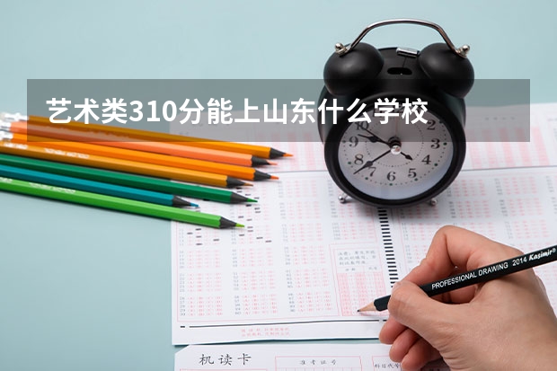 艺术类310分能上山东什么学校