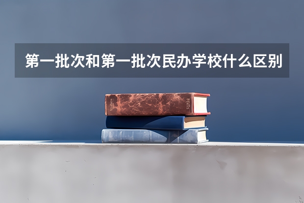 第一批次和第一批次民办学校什么区别