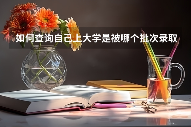 如何查询自己上大学是被哪个批次录取