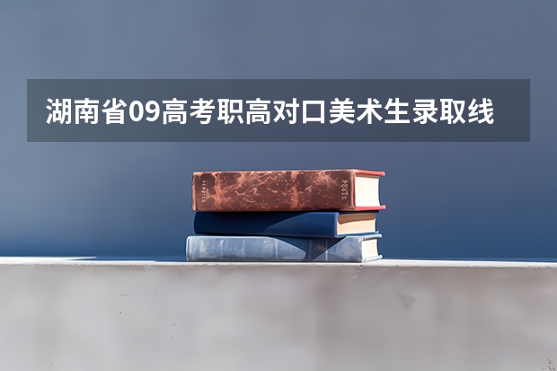 湖南省09高考职高对口美术生录取线大概是多少？本科生录取比例是多少？