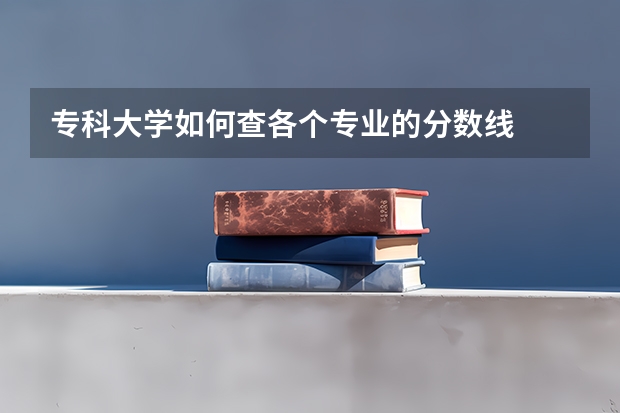 专科大学如何查各个专业的分数线