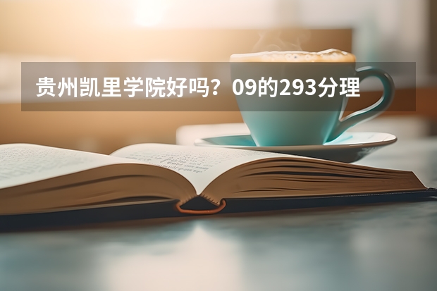 贵州凯里学院好吗？09的293分理科能进吗