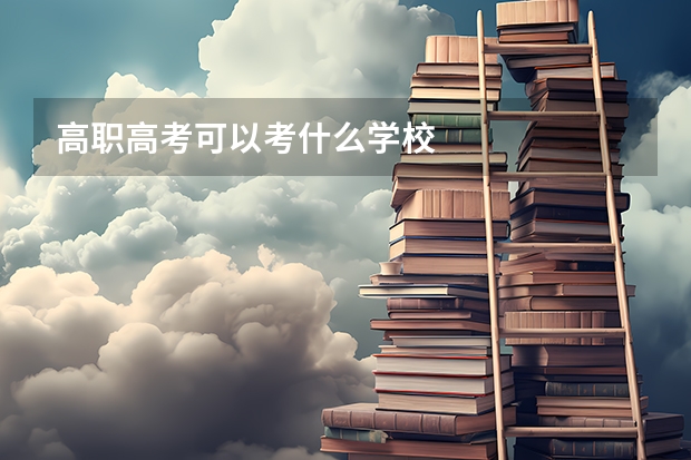 高职高考可以考什么学校