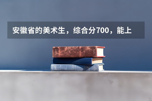 安徽省的美术生，综合分700，能上省内哪些学校呢？