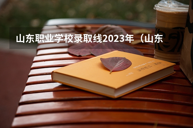 山东职业学校录取线2023年（山东职业学院录取分数线）