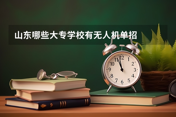 山东哪些大专学校有无人机单招